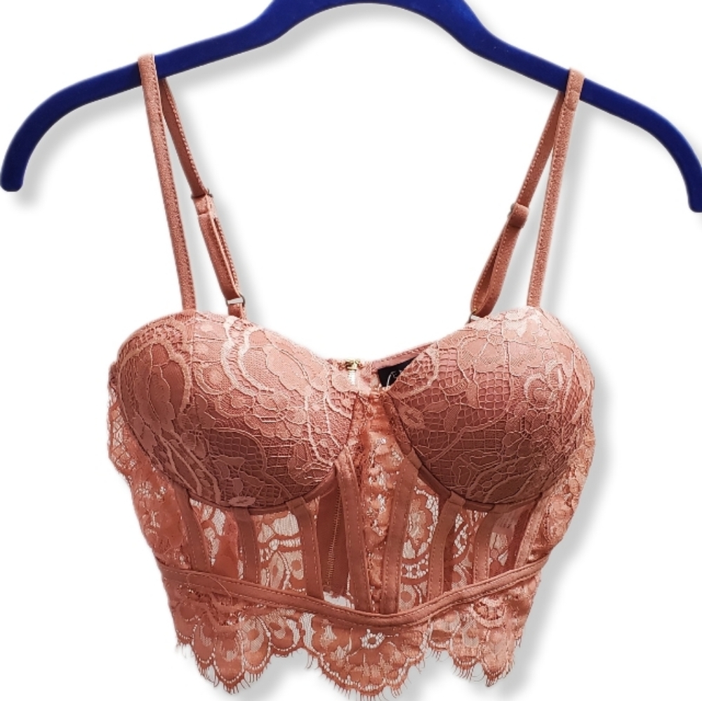 Dusty Rose Lace Corset Bustier Lined Padded Cups Zipper FP124